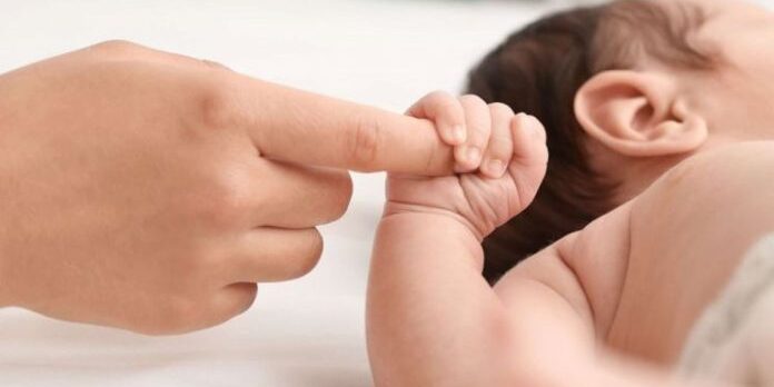 bebe