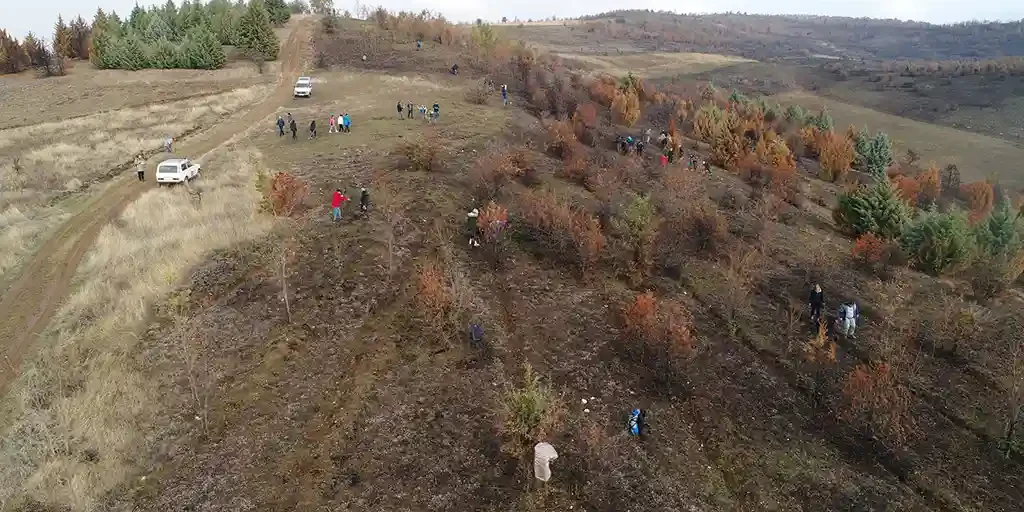 poshumuvanje (3)