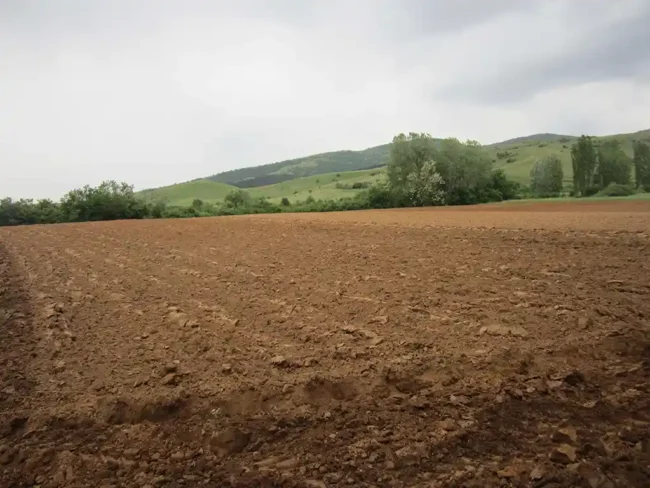pochva-zemjishte-ilinden