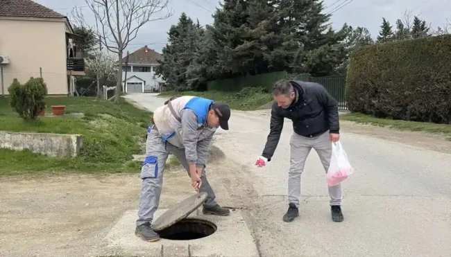 dezinsekcija-ilinden